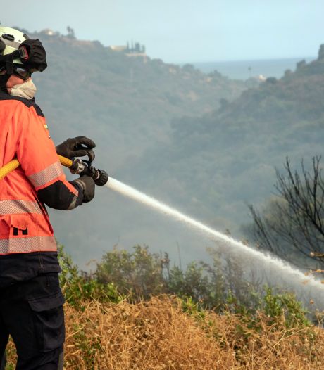 Spanje zet leger in en evacueert preventief vanwege branden: ‘In jaren niet zo'n bosbrand geweest’