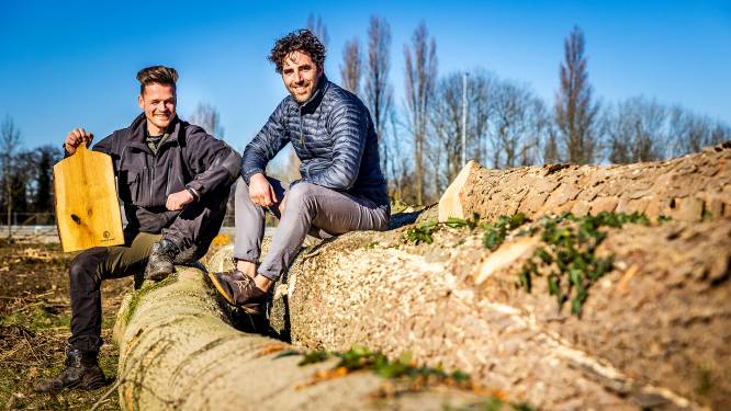 Van borrelplank tot doodskist: Dordts Hout geeft gesneuvelde bomen een tweede leven