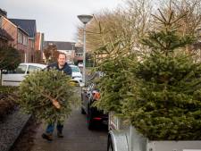 Volle aanhangers met kerstbomen voor paasvuur Dijkerhoek: ‘Als we mee willen doen voor de prijzen dan kunnen we niet langer wachten’