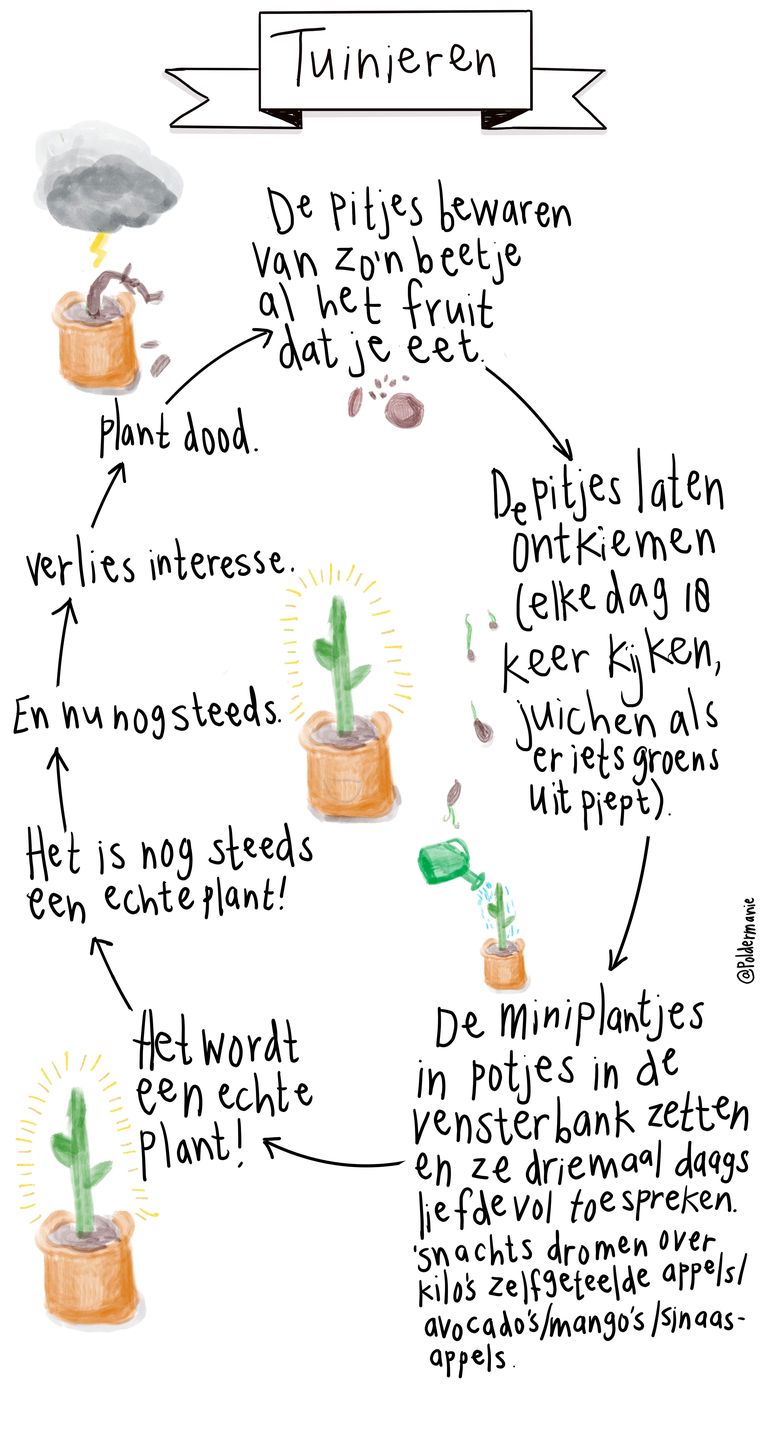 null Beeld 