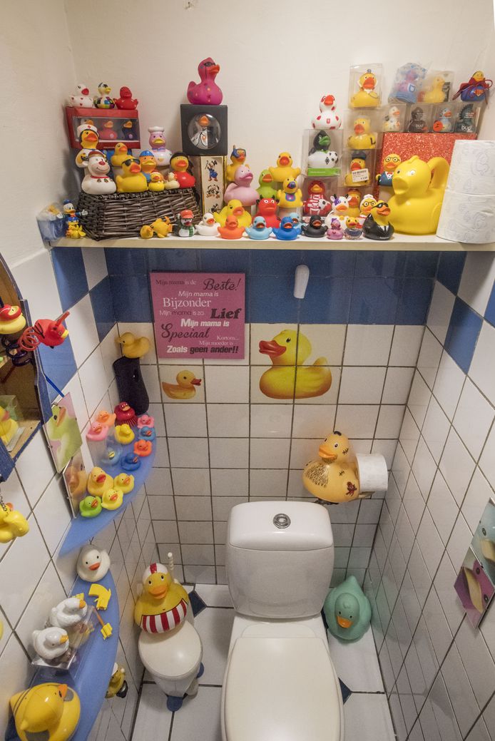 frequentie metgezel Onvermijdelijk Op deze Twentse wc's blijf je beslist wat langer zitten | Home | tubantia.nl