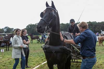 27ste Aangespannen Dag in Gilze: Zelfs aan een ambulance voor paarden is gedacht