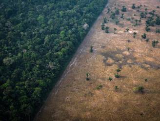 Operaties tegen ontbossing Amazonewoud gestart in Brazilië