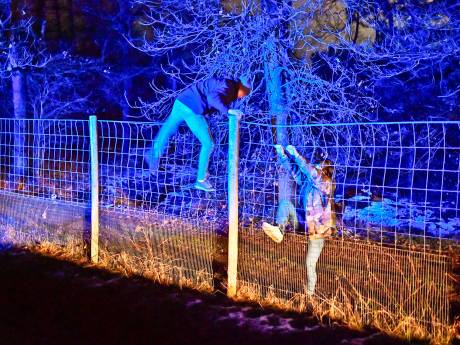 Vrachtwagen met gestolen lading stopt op A2 tussen Valkenswaard en Eindhoven, vier verdachten gevlucht