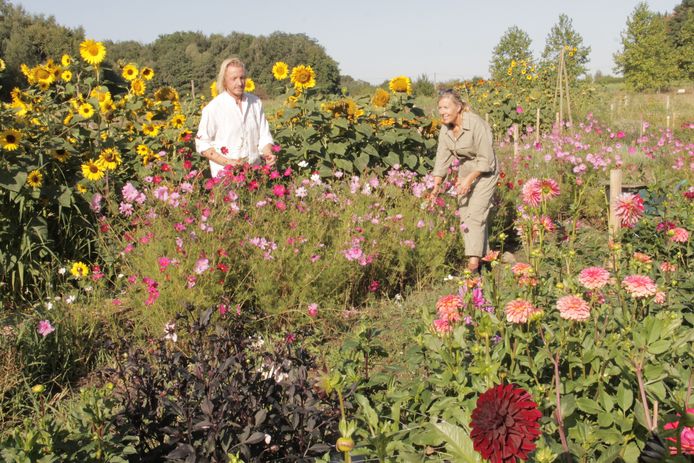 In't Wilde Weg nabij het Bergmolenbos in Rumbeke is één van de nieuwe Leiespots.