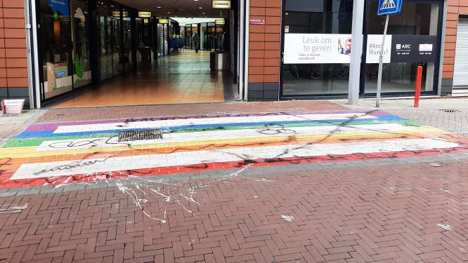 Geen extra camera’s om vandalisme in Veenendaal tegen te gaan 