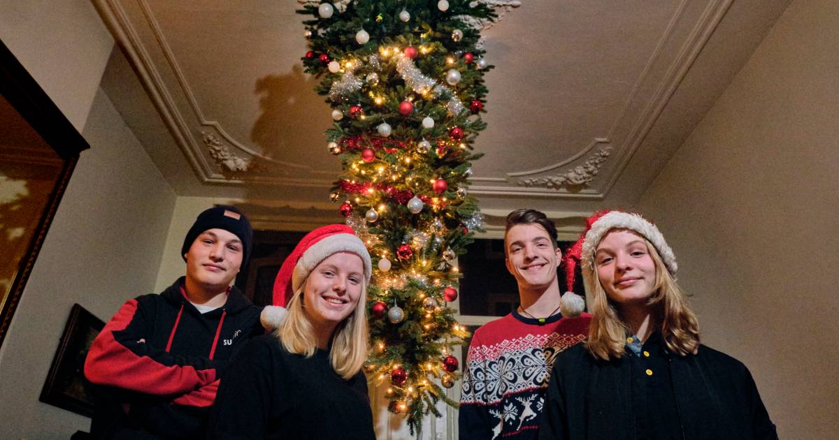 onduidelijk Uitgaand Havoc De omgekeerde kerstboom van de familie Stolk is een icoon op de Voorstraat:  'Het is heel praktisch!' | Dordrecht | AD.nl