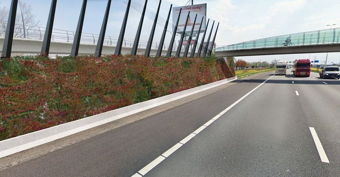 De nieuwe geluidsschermen langs de A16 en N3 in Dordrecht zijn straks aan beide zijden begroeid met planten.