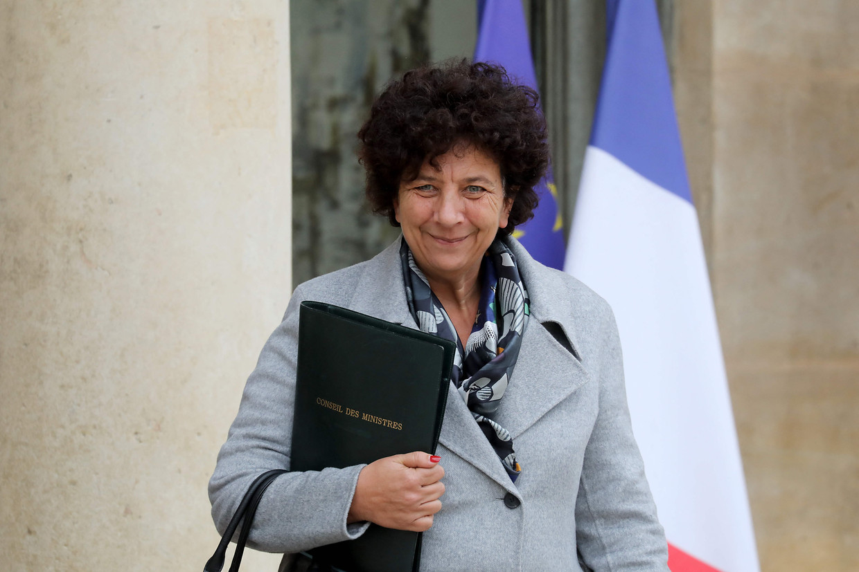 De Franse minster van hoger onderwijs Frédérique Vidal.  Beeld AFP