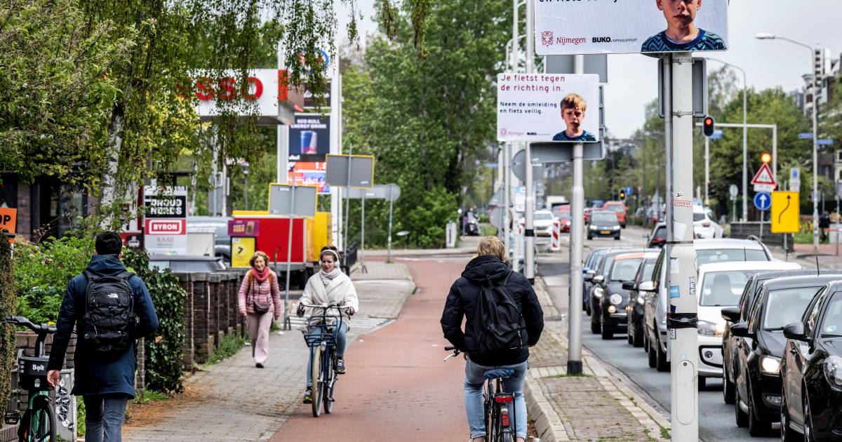Chaos op Nijmeegse verkeersader, ‘spookfietsers’ negeren omleiding massaal: ‘Ben bang voor ongelukken’.