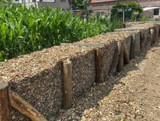 Minder risico op wateroverlast en droogte via het hemelwater- en droogteplan