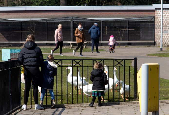 Er wordt door veel mensen zaterdagmiddag gewandeld in het Warandepark in Helmond.