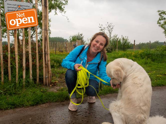 NET OPEN: Privéspeelweide voor honden in de Wetterse velden: “Introverte dieren kunnen hier rustig ontstressen”