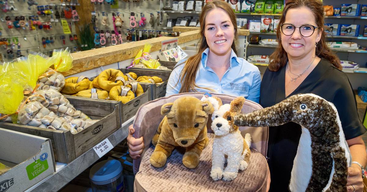 Hondenhoeve na vier jaar genoodzaakt te sluiten: 'Kan nu niet mijn energie en passie in het bedrijf 