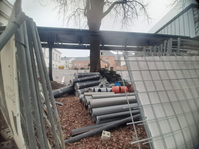 In de botanische tuin van Antwerpen staat eenJapanse notenboom. Zonder vergunning werd daar, bij de ontwikkeling van de hotelsite, een stalen constructie rond gezet. Níét volgens afspraak, aldus de Antwerpse groendienst. Beeld Kos