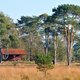 Herfsttips: van blokhut tot beach club
