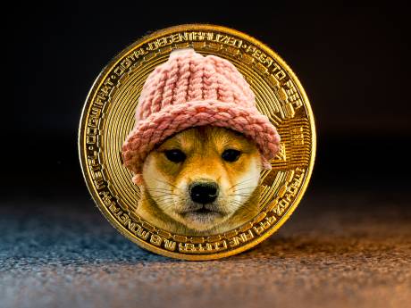 Hond met hoed verovert cryptomarkt: ‘dogwifhat’ is nu 3 miljard euro waard