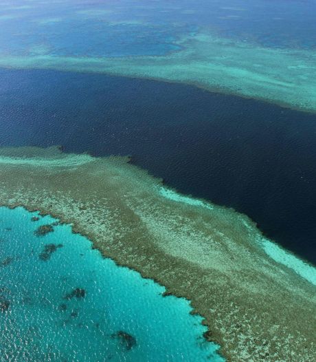 La Grande Barrière de corail évite la liste des sites en péril, l’Australie satisfaite