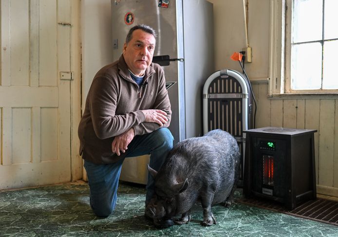 Wyverne Flatt ziet varken Ellie als 'familie' en wil haar als huisdier houden.