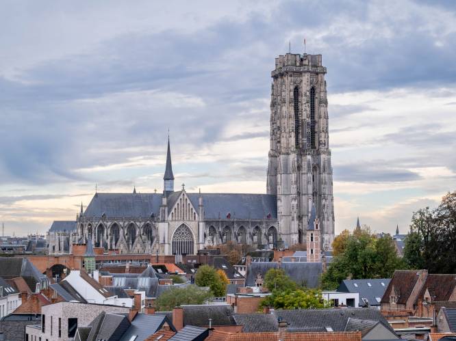 Wat te doen in regio Mechelen dit Pinksterweekend: van een gruwelverhalenwandeling in Mechelen tot een literair festival in Sint-Amands