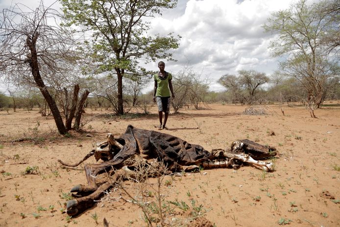 Extreme droogte in Zimbabwe.