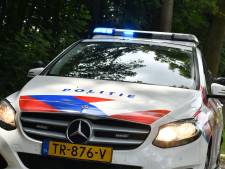 Auto ramt drie lantaarnpalen in Broek in Waterland, bestuurder slaat lopend op de vlucht