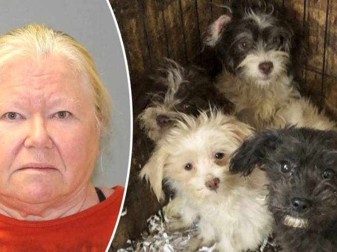 Politie vindt 161 verwaarloosde honden in woning. En 44 andere in diepvries