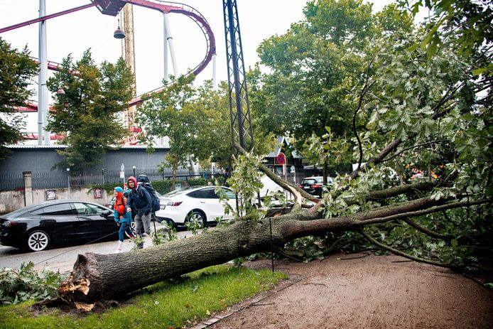 Een omgevallen boom nabij een pretpark in Kopenhagen, Denemarken.