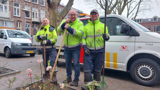 Meelopen met de tuinmannen van onze stad: 'Utrecht heeft straks palmbomen'