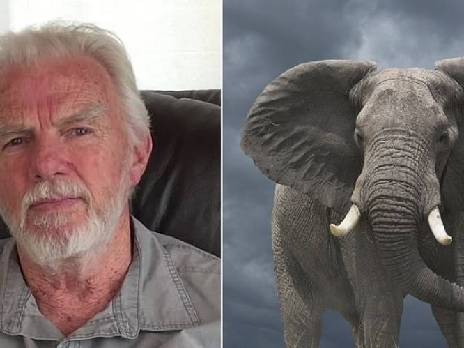 5000 olifanten en 60 leeuwen gedood, maar jager zegt "geen gram spijt" te hebben