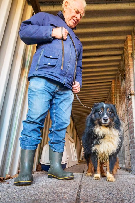 Hond Snoetje zit al half jaar in een pension en haar baas komt maar niet terug: ‘Ze zijn niet eens komen kijken’