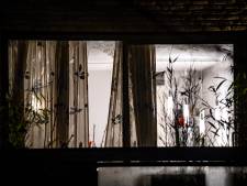 Buurtbewoners opgeschrikt door harde knal in achtertuin: huizen flink beschadigd