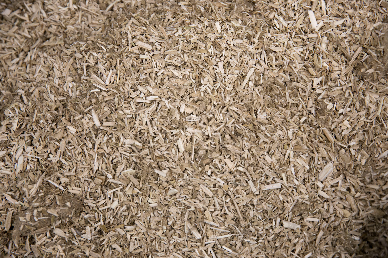 Опилки и стружка древесные загрязненные нефтью. Опилки. Древесные опилки. Опилки и стружка древесные загрязненные нефтью. Стружка древесная.
