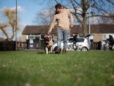 Steeds meer gemeentes schaffen hondenbelasting af, maar in deze Brabantse steden betaal je nog altijd fors 