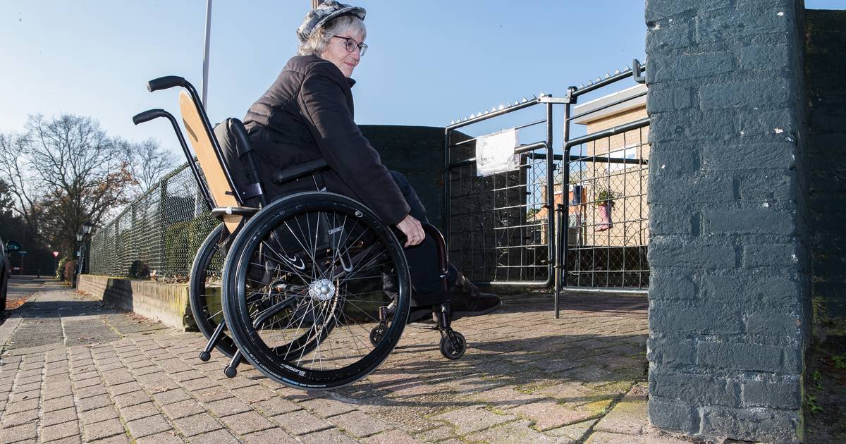 Obstakels extra handicap voor Didy in Sibculo