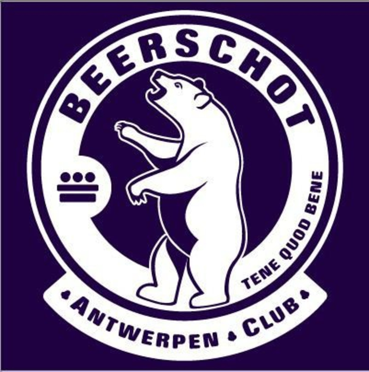 Beerschot stelt nieuwe logo met grote trom voor | De Morgen