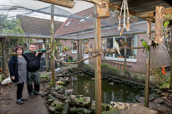 Ado bouwde op zijn elfde zijn eerste volière, maar de vogeltuin moet nu weg: 'Dit levenswerk' | Deze verhalen mag je niet missen | bndestem.nl