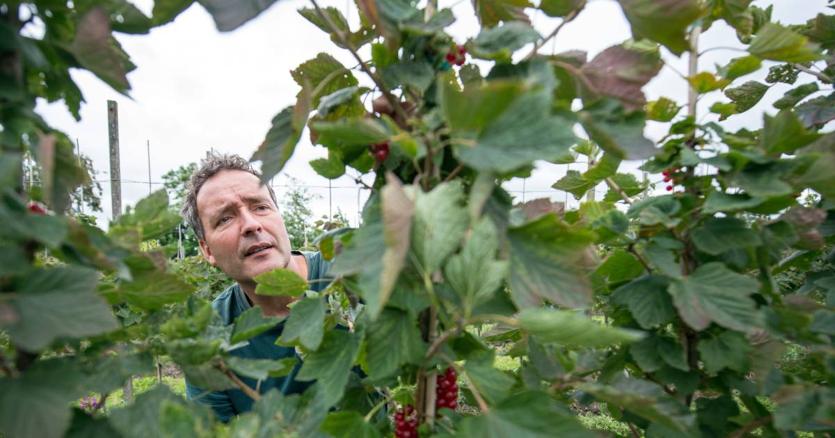 Verplaatsing fruitteler verdeelt Oud-Sabbinge