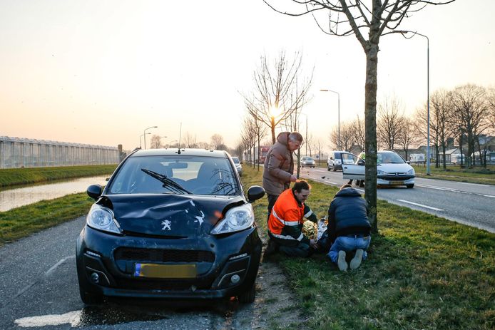 Marcel van Dorst/MaRicMedia