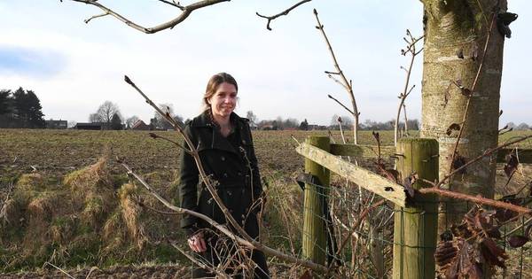 Gemeente geeft subsidie aan privé-landschapsplan Ven-Zelderheide - De Gelderlander