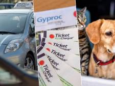Permis de conduire, éco-chèques, chiens et chats: tout ce qui change à partir du 1er mars
