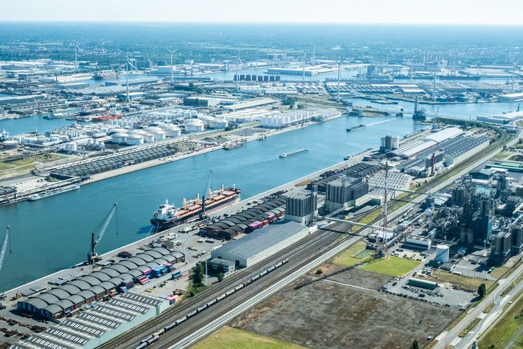 De haven van Antwerpen Beeld Tessa Kraan