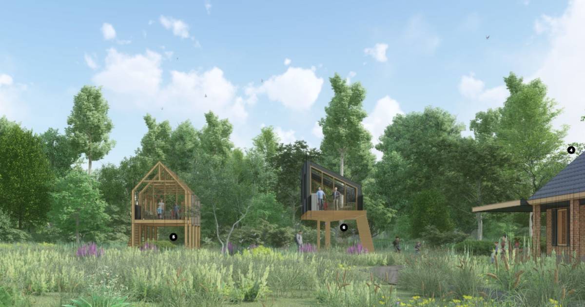 Oud tennisparkje Jachtlust Hertme wordt recreatiepark met boshuizen en boomhutten