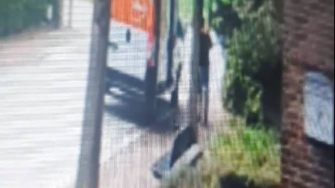 Pakjesbezorger PostNL aan de haal met fiets tijdens ronde: “Stelen van jobstudent die wat geld probeert te verdienen... Dat doe je niet” 