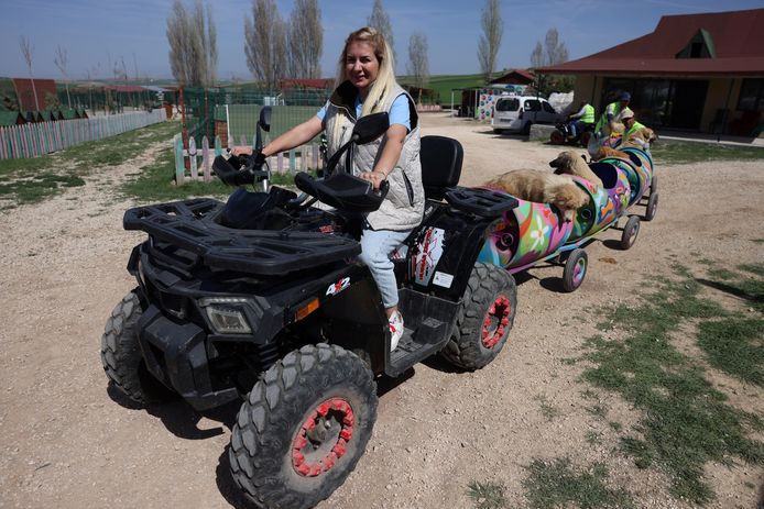 Buket Özgünlü met de hondentrein.