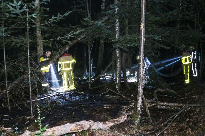 De bosbrand in Apeldoorn kon snel geblust worden.