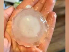 Un village anglais frappé par des grêlons de la taille d'une balle de golf