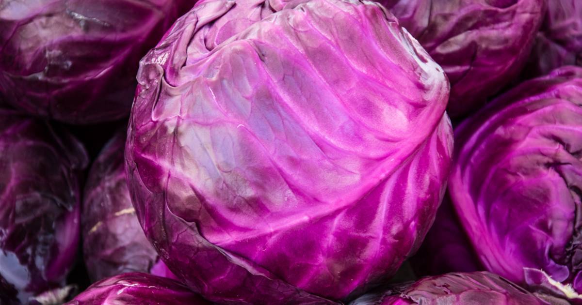 Hak komt met potjes rode kool en bietjes zonder suiker en zout | Koken ...