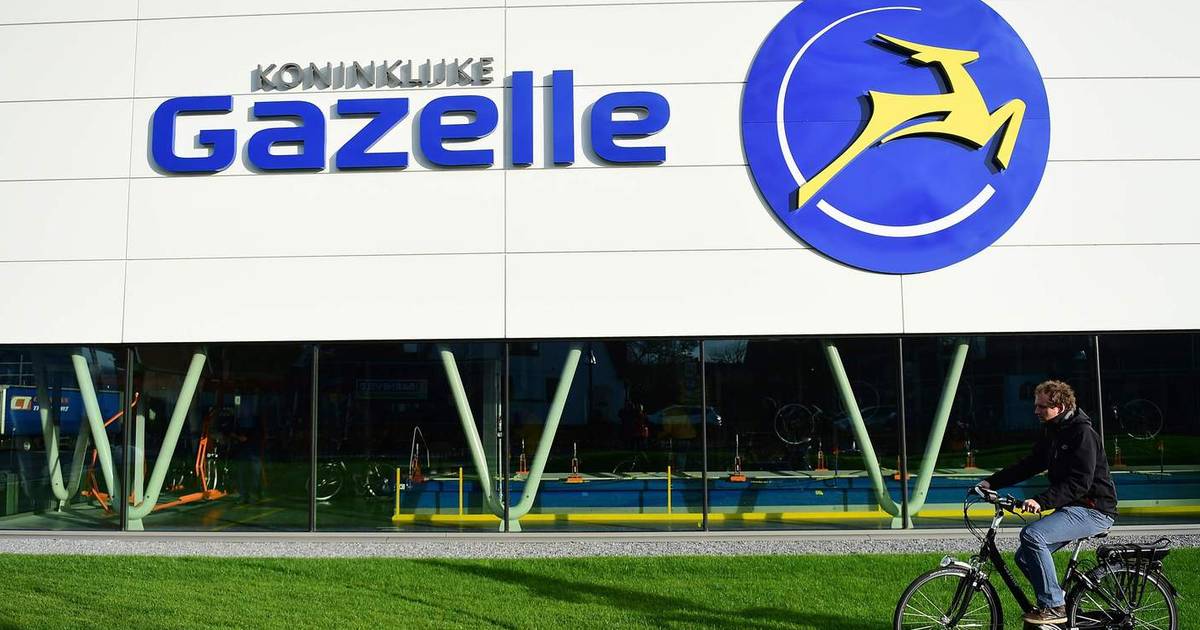 scherm Parel sokken Fabrikanten niet blij met e-bikes bij MediaMarkt | Home | AD.nl