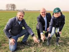 Lars (6) vond als jongste weidevogelaar ooit het het eerste kievitsnest van Altena: ‘Onvergetelijk moment’